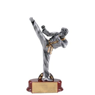 Girls Karate Silverline Trophy - 7