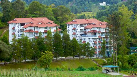 The retreat has a diverse population of more than 43,000 people. 10 Best SHOPPING Hotels in Cameron Highlands in 2020 | Expedia