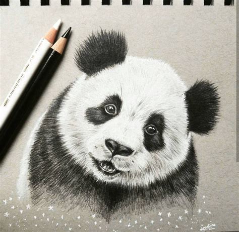 Panda Head Drawing In Pencil