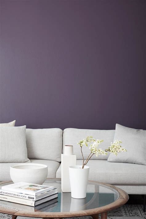 20 Light Purple Wall Paint Decoomo