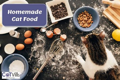 Homemade Cat Food Magic A Recipe For Happy Paws