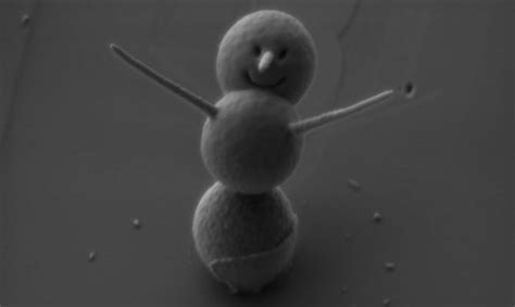 The Worlds Smallest Snowman Is Downright Adorable