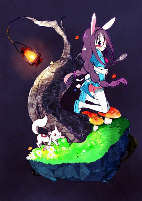 Megahomu Muhogame Akemi Homura Kyubey White Rabbit Alice In