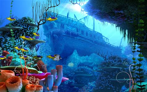 Cool Underwater Wallpapers Top Free Cool Underwater Backgrounds