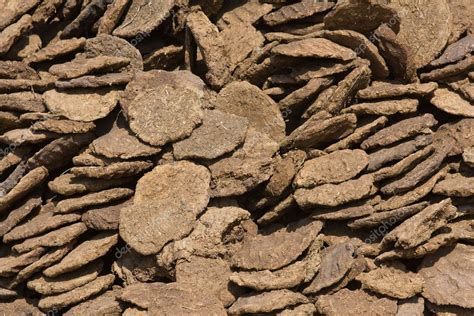 Dry Cow Dung India — Stock Photo © Olegdoroshenko 20532107