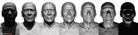 Head And Face Reference Anatomy 360