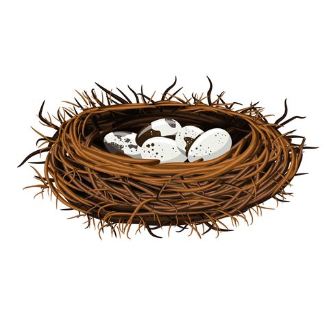 Vector Image Of A Birds Nest With Eggs Eps 10 6762006 Vector Art At
