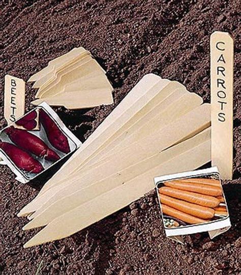 10 Diy Seed Markers For Your Garden Seed Markers Seed Starting Seeds