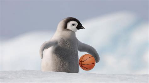 Columbus in homes for sale by owner. Onions! The Never-Made-the-NCAA Tournament Club, 2014 ...