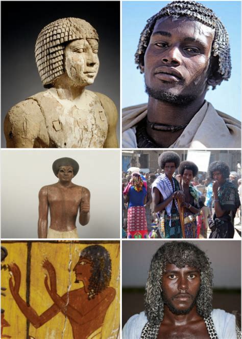 A Study Of Hair Texture In Ancient Egypt African History History