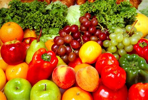 From homemade puppy food to store brands, choosing the best food for your puppy's nutritional needs can be daunting. The Raw Vegan Diet: Benefits, Drawbacks, and Tips