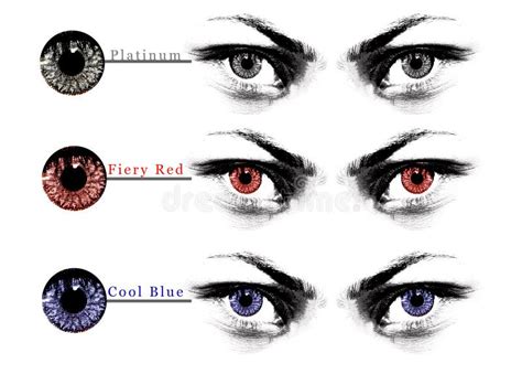 Eye Lens Shade Chart Stock Image Image Of Pupil Fashion 22102571