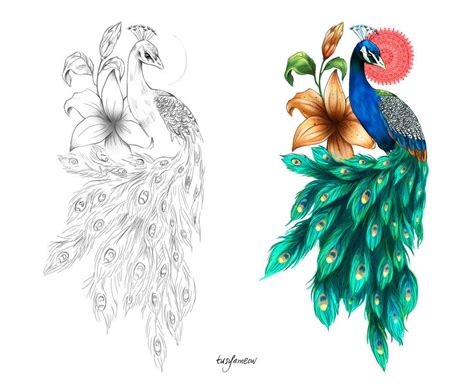 Peacock Drawing Peacock Painting Peacock Art Flower Drawing Tattoo