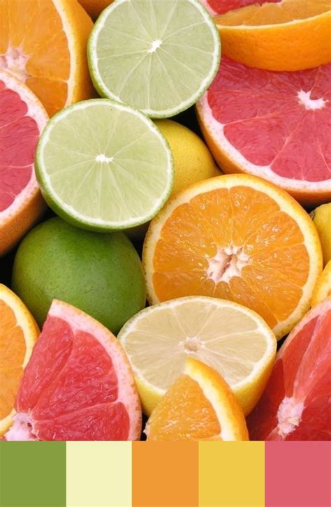 Orange Fruit Color Palette Find A Great Color Palette From Color Hunt