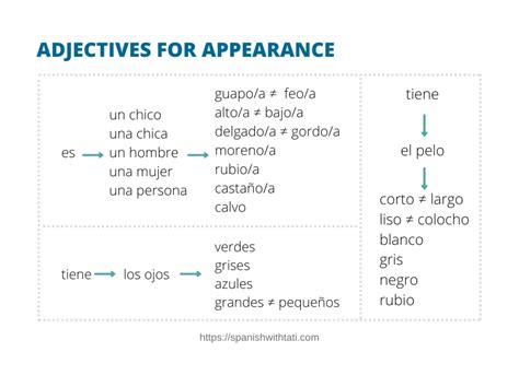 Spanish Noun Adjective Agreement Worksheet