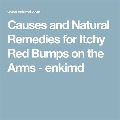 Causes And Natural Remedies For Itchy Red Bumps On The Arms Enkimd