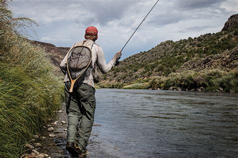 Trout Fly Fishing New Mexico All About Fishing
