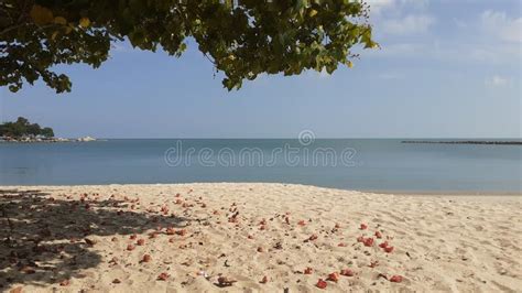 Beach View Indonesia West Kalimantan Stock Image Image Of Water