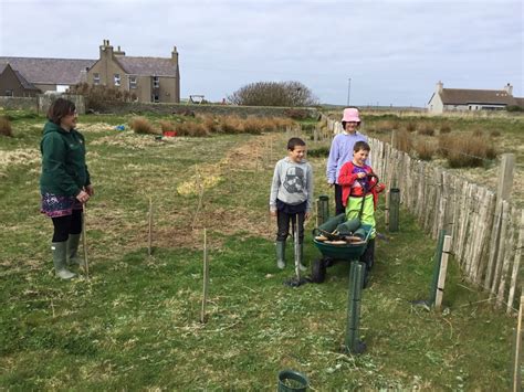 Trees4 Papa Westray Community School