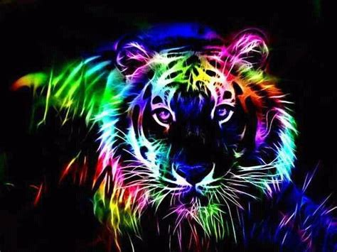 Tiger Rainbow Colored Bright And Beautiful Colors Pinterest
