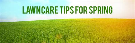 9 Tips For Perfect Lawn Care In Spring Lawn Care Lawn Care Tips
