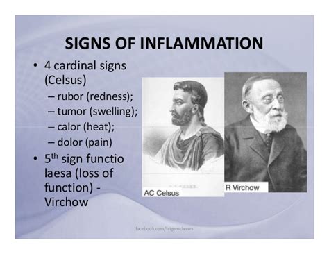 These five signs appear when acute inflammation occurs on the body's surface, whereas acute inflammation of internal organs may not result in the full set. Inflammation