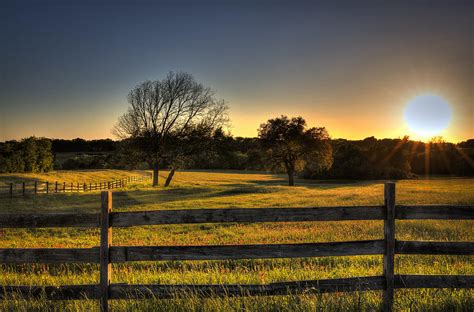 Golden Field Photograph By Mike Harlan Pixels