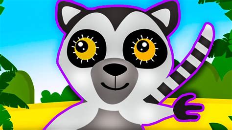 Dziecięce Przeboje Idziemy Do Zoo - Dziecięce Przeboje - Lemur / Polskie piosenki dla dzieci - YouTube