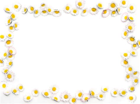 Daisy Border Stock Photos Pictures And Royalty Free Images Istock