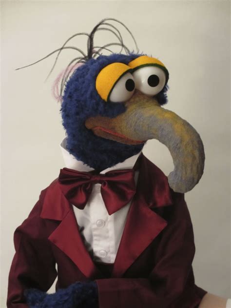 17 Best Images About My Muppets On Pinterest Vinyls Feathers And