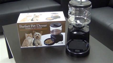 Pico Perfect Dinner Automatic Pet Feeder Review Youtube