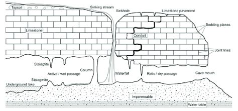 2 Schematic Diagram Of Cave Formation Illustration Thorsten Kahlert