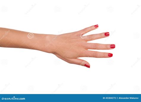 Woman Hand Stock Photo Image 45384272