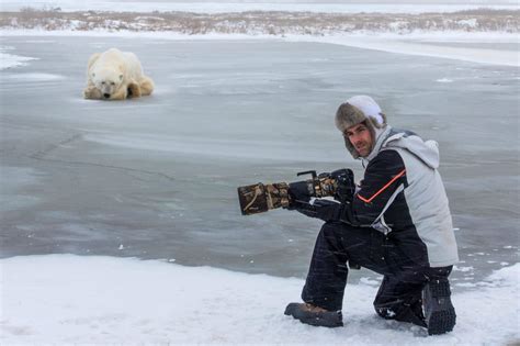 Fearless Guard Dog Went Toe To Toe Against A Huge Polar Bear Guess
