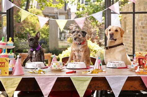Dog Birthday Party Food Ideas