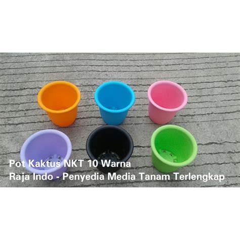 Warna ungu/violet, merupakan hasil campuran dari warna biru dan merah. Pot CACTUS 10 NKT Warna PUTIH HIJAU PINK BIRU HIJAU COKLAT ...
