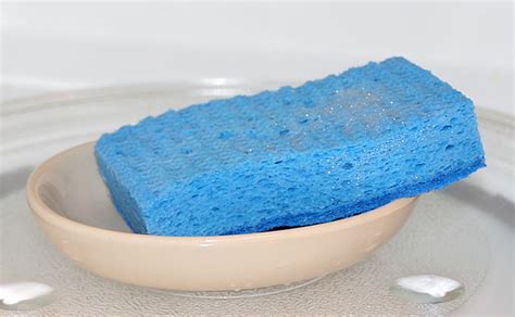 Best Way How To Clean A Kitchen Sponge Of Germs