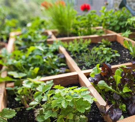 'Sustainable gardening' includes many eco-friendly practices