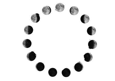 5 Sınıf Ayın Hareketleri Ve Evreleri Konu Özeti FENOZOM