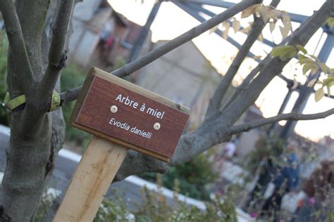 Loire Roanne Le Jardin Des Senteurs Inauguré En Grande Pompe