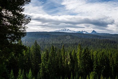 Diamond Peak Forest Landscape Oregon Stock Image Image Of Forest