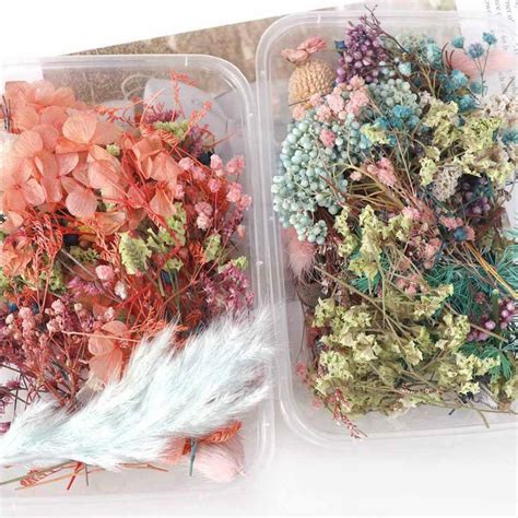 Dried Flowers For Bathroom Dried Flower Arrangements Growing Plants And Flowers To Dry See