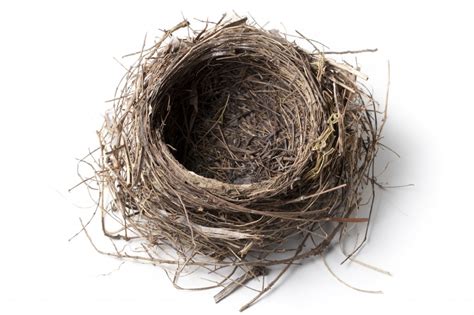 How To Thrive In An Empty Nest Inspiring Generations