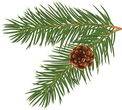 Pinecone Clipart Greens Picture Pinecone Clipart Greens