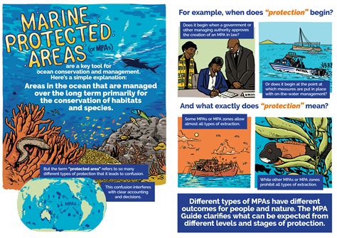 Putting The Protect In Marine Protected Areas