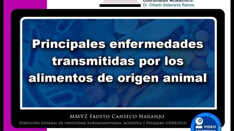 Principales Enfermedades Transmitidas Por Los Alimentos De Origen