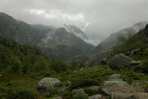 Gezien de vele natuur in noorwegen dient men rekening te houden met groot wild (zoals elanden en herten), dat plotseling de weg kan oversteken, en het gebeurt niet zelden dat schapen de wegen versperren. auf dem Weg zum Preikestolen Foto & Bild | europe ...