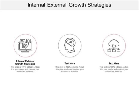 Internal External Growth Strategies Ppt Powerpoint Presentation