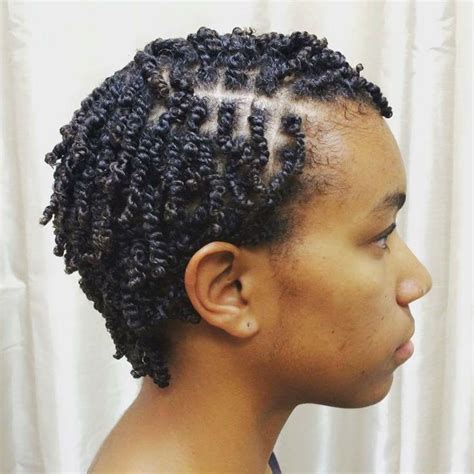 Short Hairstyle Mini Twists Natural Hair Twist Hairstyles Braids For Short Hair