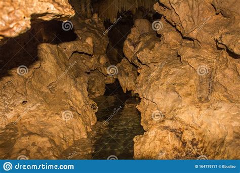 Cave In The Woods Stock Image Image Of Place Rivers 164779771